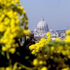 Llevar a todos el fuego y la alegría de Cristo