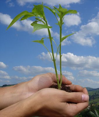 Ecología cósmica y humana