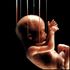 Almudi.org - Bombay y los holocaustos abortistas