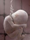 Almudi.org - Sentencia de muerte