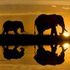 Almudi.org - Noticias de Africa