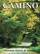 Almudi.org - Camino