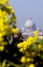 Almudi.org - "Carta del Prelado del Opus Dei" 