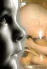 Almudi.org - "El embrión, dentro de la madre..." 
