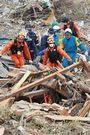 Catástrofes en Japon