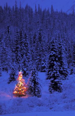 Almudi.org - "Un tierno silencio de Navidad"