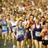 Almudi.org - "Maratón en la ciudad polaca de Poznań..."
