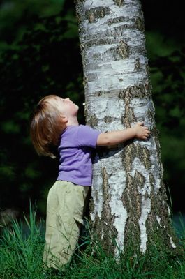 Almudi.org - 14 cuestiones sobre la familia 