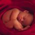 Almudi.org - 
