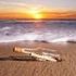 Almudi.org - 