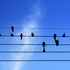 Almudi.org - 