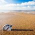 Almudi.org - 