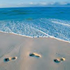 Almudi.org - 
