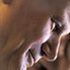 Almudi.org - 