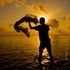 Almudi.org - 