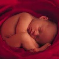 Almudi.org - 