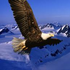 Almudi.org - 