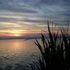 Almudi.org - 
