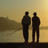 Almudi.org - 