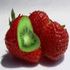 Almudi.org - 