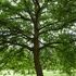 Almudi.org - 