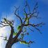 Almudi.org - 