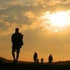 Almudi.org - 