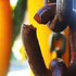Almudi.org - 