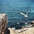 Almudi.org - 