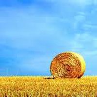 Almudi.org - 