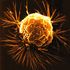 Almudi.org - 