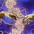 Almudi.org - 