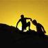 Almudi.org - 