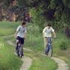 Almudi.org - 