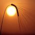 Almudi.org - 