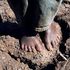Almudi.org - 