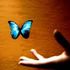 Almudi.org - 