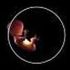Almudi.org - 