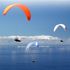 Almudi.org - 