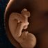 Almudi.org - 