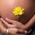 Almudi.org - 