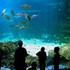 Almudi.org - 