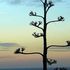 Almudi.org - 