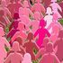 Almudi.org - 