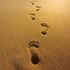 Almudi.org - 