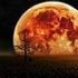 Almudi.org - 