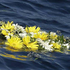 Almudi.org - 