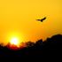 Almudi.org - 