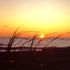 Almudi - 
