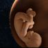 Almudi.org - 